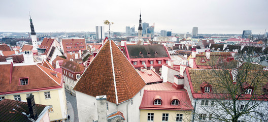 Fototapete - Streets of old Tallinn