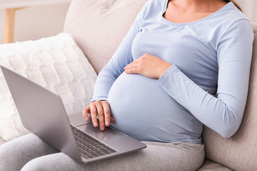 Unrecognizable Pregnant Lady Using Laptop Sitting On Sofa Indoor