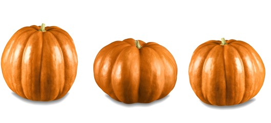 Poster - Pumpkin.