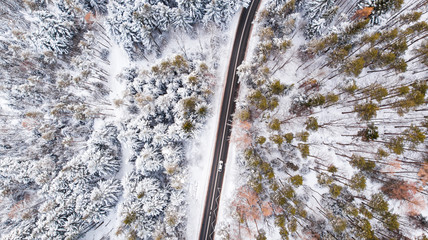 Poster - Car Drive Trough Snowy Forest in Winter Wonderland, Top Down Aerial View