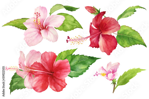 Featured image of post Hibiscus Flower Drawing Realistic : In order to use this file you must credit the author with the a link back to this page.