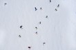 Aerial drone view on skiers on ski slope at winter.