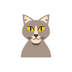 Poster - Cute light brown cat cartoon vector design