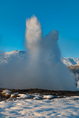 Wall Mural - Strokkur geyser erupting in Geysir Geothermal hot spring in Iceland on a clear blue sky day in winter