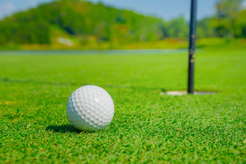 Golf ball on the green.