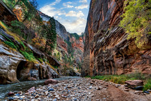 Trail Views Of The Landscape And Red Rock Mountain Formations In The Narrows Hiking Trail In Zion National Park, Near Springdale, Utah, USA.
