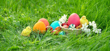 Easter Holiday Concept. Easter Decor Composition With Cute Chickens And Colorful Painted Eggs In Grass. Banner. Template For Design