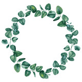 Fototapeta  - Watercolor wreath with hand draw branches of cotton and eucalyptus leaves, isolated on white background