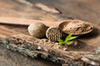 © Maria - Dried seeds of fragrant nutmeg and grated nutmeg on wooden background.