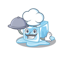 Poster - cartoon design of ice cube as a Chef having food on tray