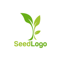 Wall Mural - Growing Seed Logo Designs Vector Seed Stock Vector 