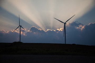 Wind turbine farm of silhouette at sunset.