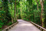 Fototapeta Dziecięca - Wooden footpath and trail in tropical rain forest - close to Lio Beach, El Nido, Palawan, Philippines