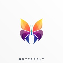 Butterfly Color Illustration Vector Template