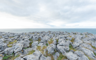 Wall Mural - ireland landscape view