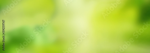 Fotomural Abstract green yellow background