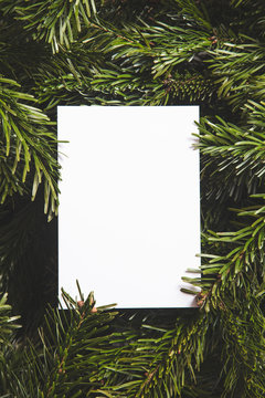 Christmas tree branches lay flat background with blank white card