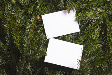 Sticker - Christmas tree branches lay flat background with blank white card