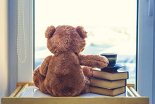 Sweet Teddy Bear With Cup Of Coffee. At A Morning Sun Light. Good Morning Concept.
