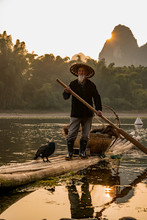 A Fisherman And His Cormorants On A Raft In Sunset