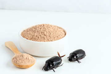 Scarab beetle insect powder. Insects flour for eating as food edible made of cooked insect meat in bowl and spoon on white background is good source of protein. Future of food, entomophagy concept.