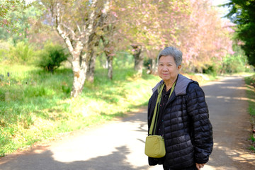 Wall Mural - old elder woman resting in garden. elderly female relaxing outdoors. senior leisure lifestyle