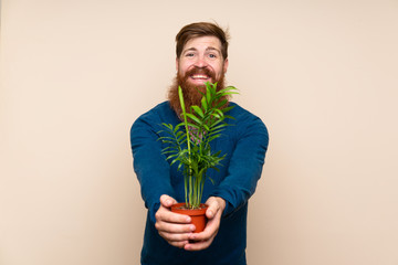 Redhead man with long beard over isolated background taking a flowerpot