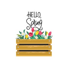 Hello Spring Card With Lettering And Flowers In Wooden Box Vector Illustration. Seasonal Greeting With Handwritten Text Cartoon Design. Blooming Tulips And Daisies. Springtime Concept