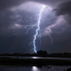 Wall Mural - bright lightning bolt with many side branches strikes down to earth