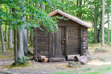 Wall Mural - house of the hunter from a saw log in the forest