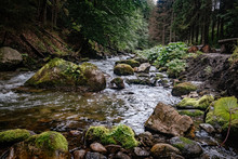 Mountain Stream In High Tatras National Park, Poland