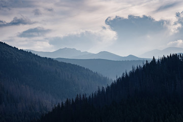 Wall Mural - amazing nature, summer in the mountains. Travel and hike