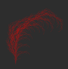 Wall Mural - vector weed generative design - panicle like l-system mathematical model