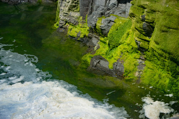 green water