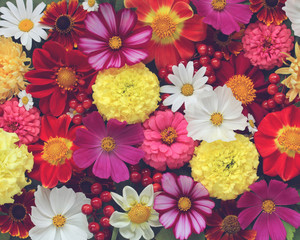  floral background. garden flowers and berries