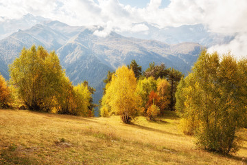 autumn mountain landscape