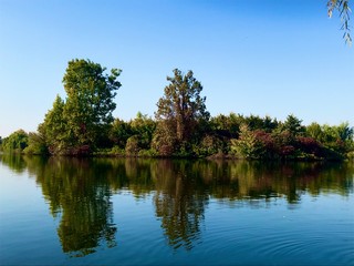 Lake view with two tall trees reflection in water