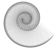 Vector Cobweb OpArt Helix - Generative Art Network Logarithmic Concept Spiral - Openwork Abstract Shell Template