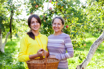 Poster - elderly woman with   adult daughter in   apple orchard.