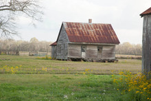 Old Louisiana Slave Quarters With Yellow Flowers