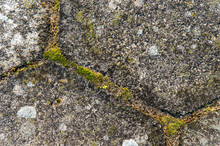 Old Paving Slabs Covered With Moss And Grass. Stone Texture. Close-up. Background