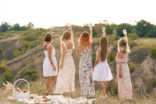 Shoot From Back. The Company Of Gorgeous Female Friends Having Fun, Cheers And Drink Wine, And Enjoy Hills Landscape Picnic.