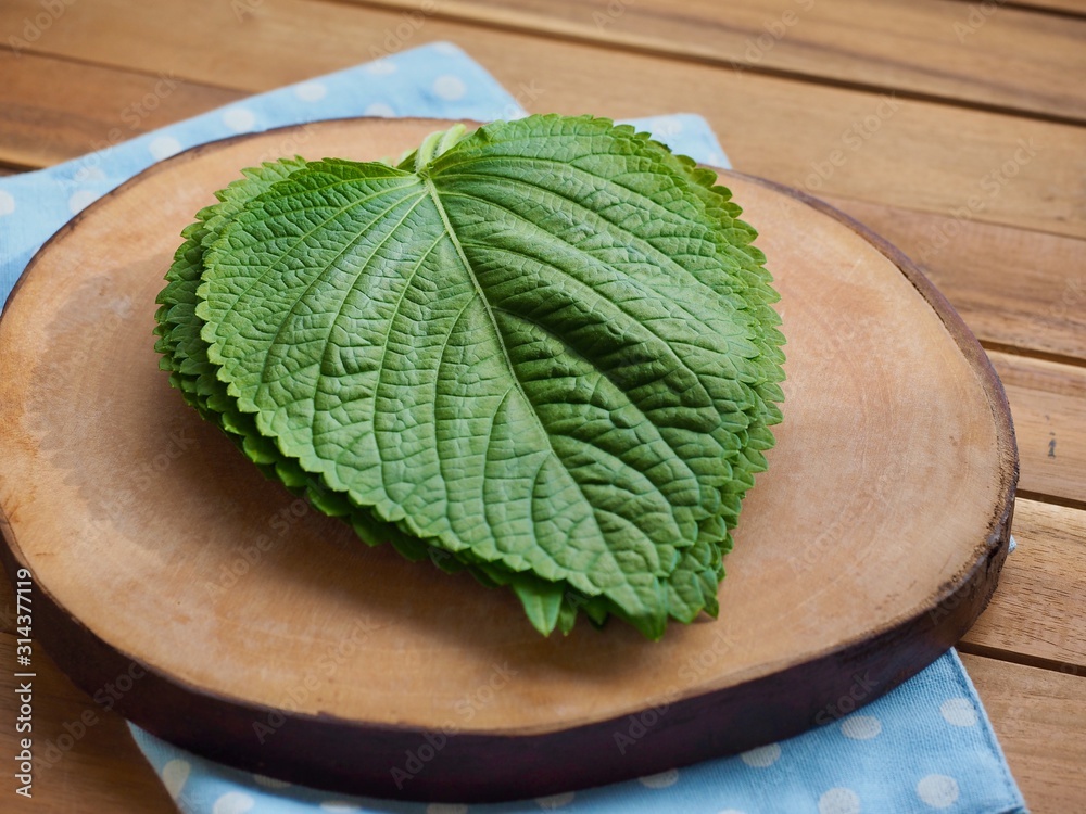한국의 신선한 유기농 채소 깻잎 Stock Photo | Adobe Stock