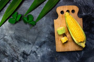 Ripe corn cobs on a black dark background. Top view. Copy space