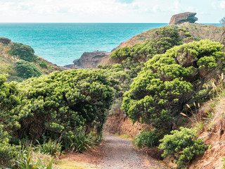 Wall Mural - View of gravel road towards see shore