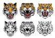 Tiger vector set collection graphic clipart design