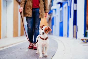 young woman and her cute jack russell dog walking by a colorful street at the city. travel concept