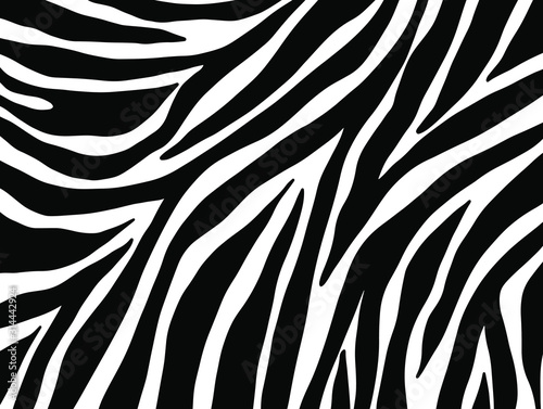 Vector: zebra seamless pattern zebra seamless pattern