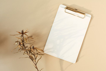 Wall Mural - Blank paper clipboard with empty copy space and dry flower branch on pastel beige background. Flat lay, top view minimal home business template.