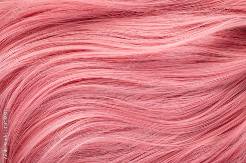 Cuadros en Lienzo Close up view of colored pink hair
